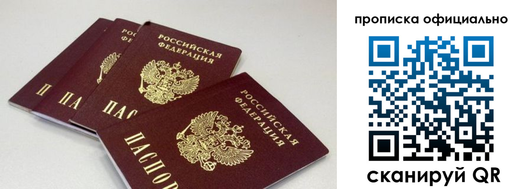 временная регистрация надежно в Александрове